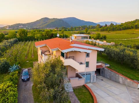 Property building, Bird's eye view