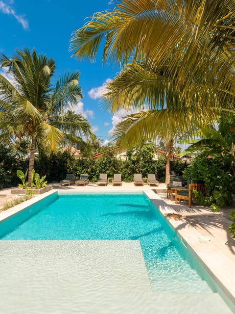 Day, Garden, Garden view, Pool view, Swimming pool, sunbed