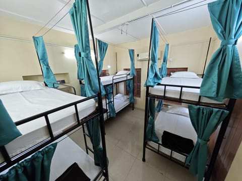 bunk bed