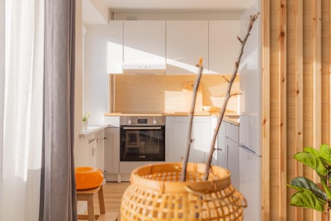 Kitchen or kitchenette, oven, stove