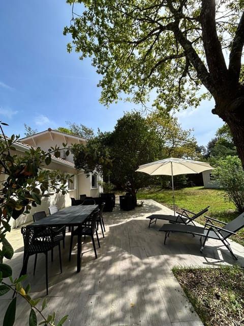 Patio, Garden, Garden view