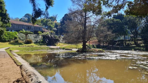 Fishing, Fishing, Lake view
