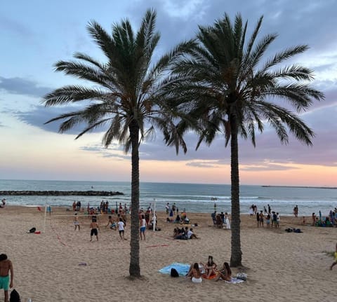 Natural landscape, Beach, Sea view