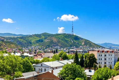 Nearby landmark, Day, Natural landscape, City view, Mountain view, Street view, Quiet street view, Inner courtyard view