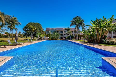 Property building, Day, Garden, Swimming pool, Swimming pool