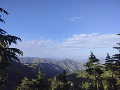 Property view