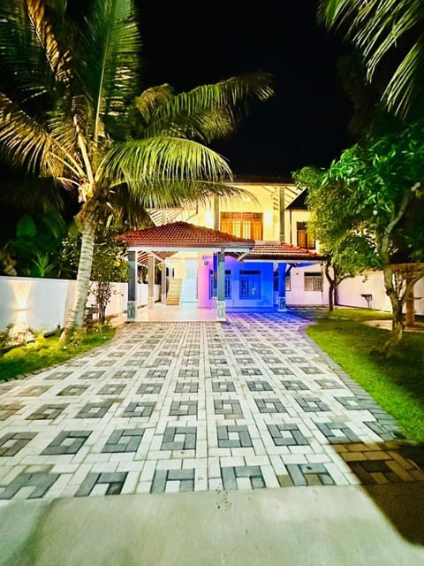 Night, Summer, Garden view