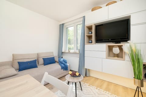 TV and multimedia, Living room, Seating area, Evening entertainment