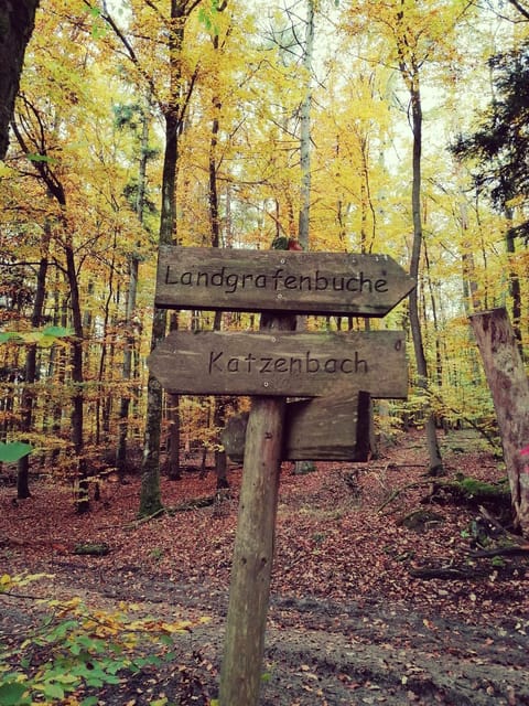 Natural landscape