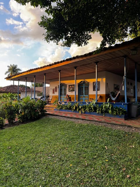 Property building, Day, Garden