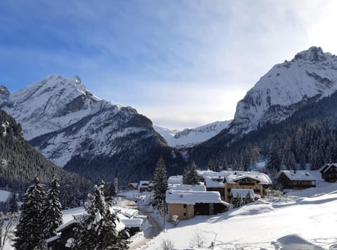 Winter, Mountain view