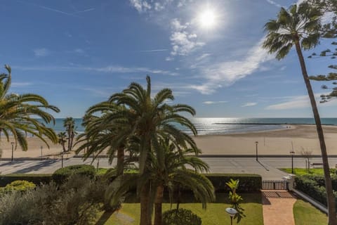 Garden, Garden view, Sea view