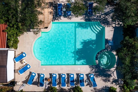 Swimming pool, Swimming pool