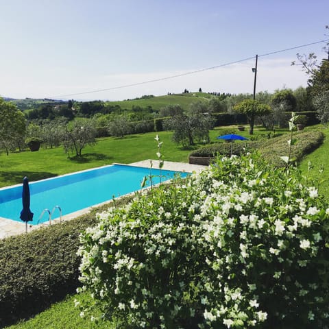 Garden, Garden view, Pool view, Swimming pool, Swimming pool