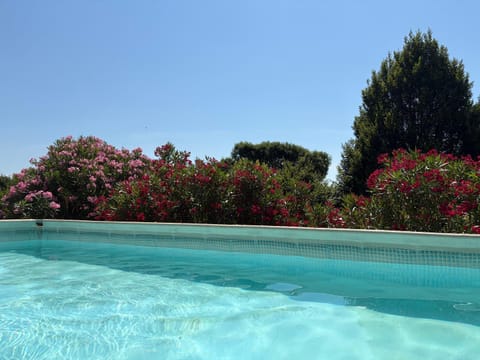Garden, Garden view, Pool view, Swimming pool, Swimming pool
