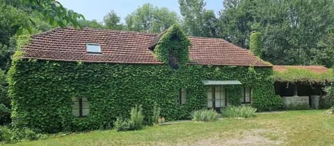 Property building, Spring, Natural landscape