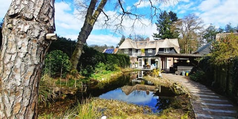 Property building, Garden, Swimming pool, Open Air Bath