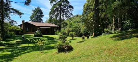 Natural landscape, Garden, Garden view