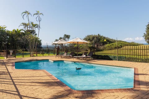 Natural landscape, Pool view, Swimming pool, sunbed
