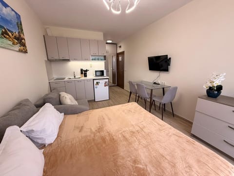 Kitchen or kitchenette, Living room, Seating area, Dining area