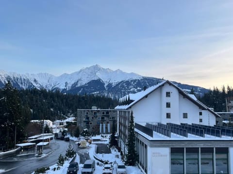 Winter, Mountain view