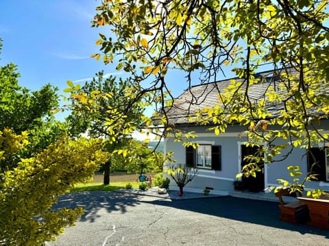 Property building, Spring, Garden, Garden view