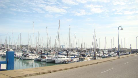 Activities, Area and facilities