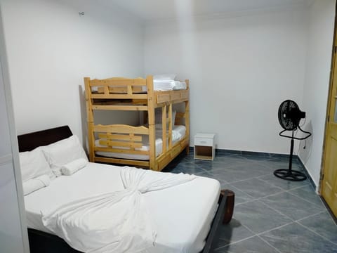 Bed, Photo of the whole room, bunk bed
