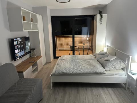 Communal lounge/ TV room, Bed, TV and multimedia, Living room, Photo of the whole room, Evening entertainment, Bedroom