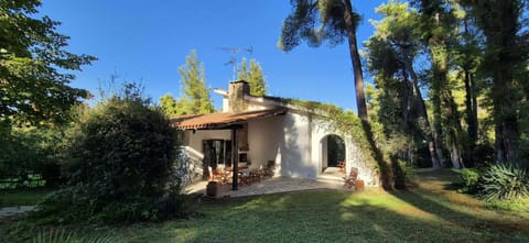 Property building, Day, Natural landscape, Garden