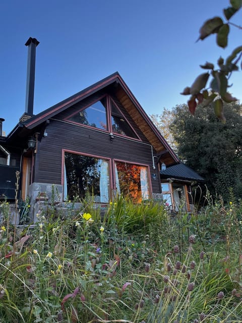 Property building, Garden, Garden view