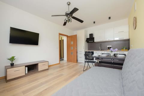 TV and multimedia, Living room, Photo of the whole room, Seating area, Dining area