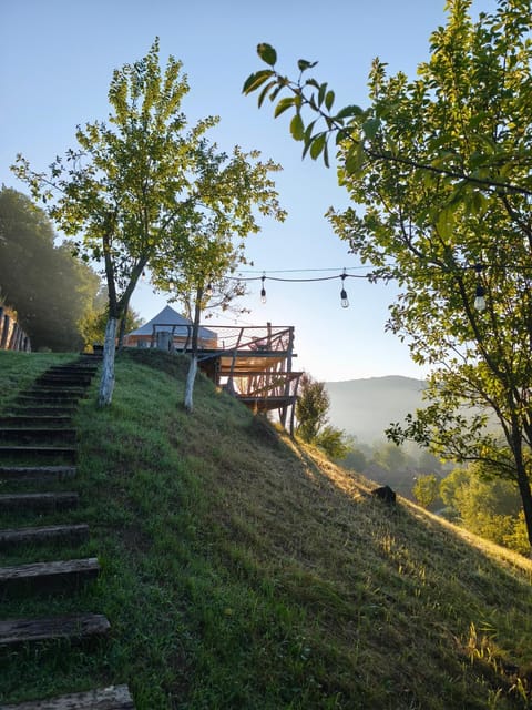 Day, Natural landscape, Garden, Garden view, Mountain view