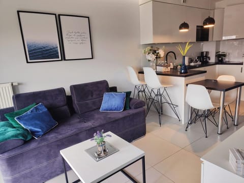 Kitchen or kitchenette, Living room, Seating area, Dining area, stove