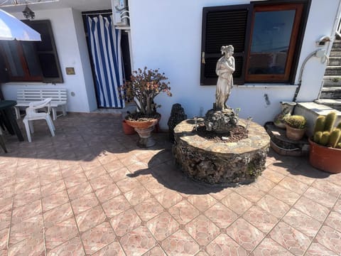 Patio, Garden