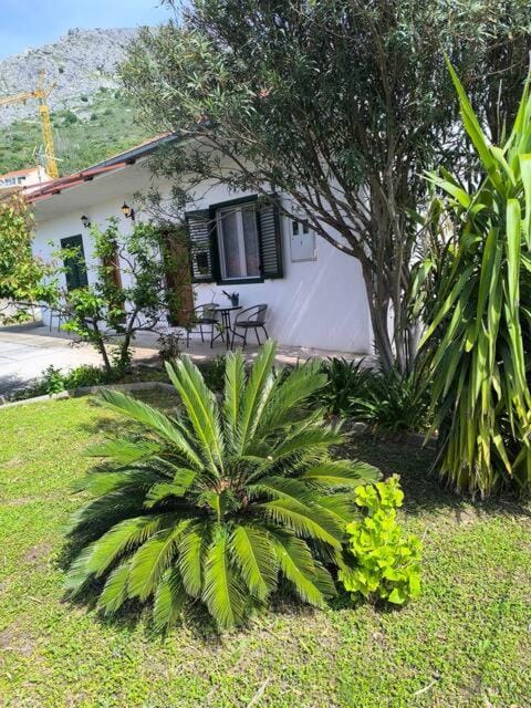 Property building, Natural landscape