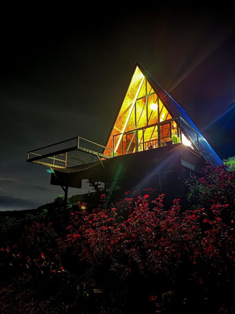 Night, Garden view