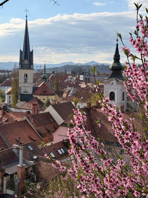 Landmark view