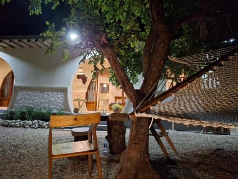 Patio, Night, Garden, Garden view
