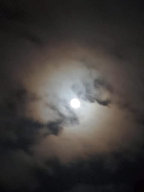 Night