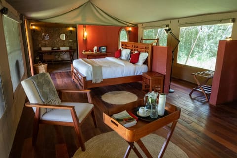 Bed, Living room, Photo of the whole room, Seating area, Bedroom