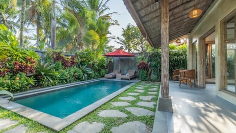 Garden, Pool view, Swimming pool, sunbed