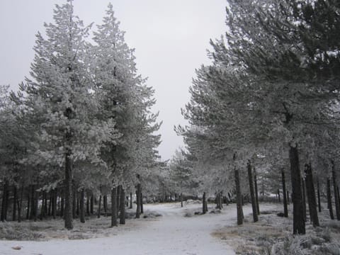 Natural landscape