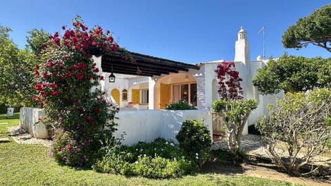 Property building, Garden view
