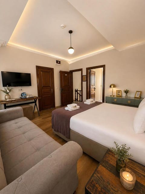 Communal lounge/ TV room, Bed, TV and multimedia, Living room, Photo of the whole room, Seating area, Bedroom