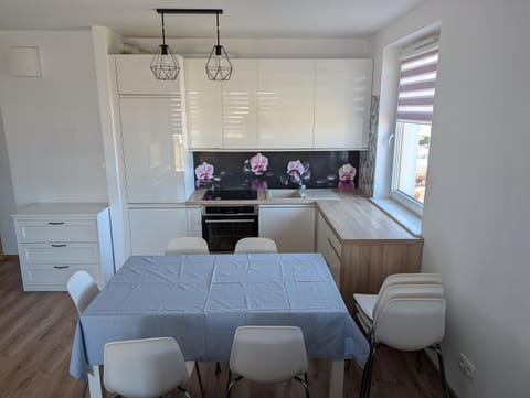 Kitchen or kitchenette, Dining area, stove