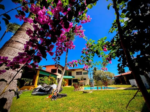 Spring, Natural landscape, Garden, Garden view, Pool view, sunbed