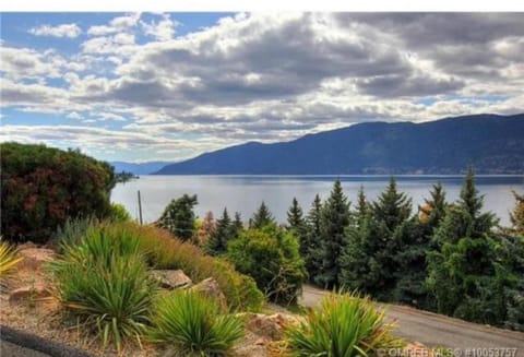 Lake view