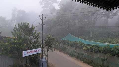 Natural landscape