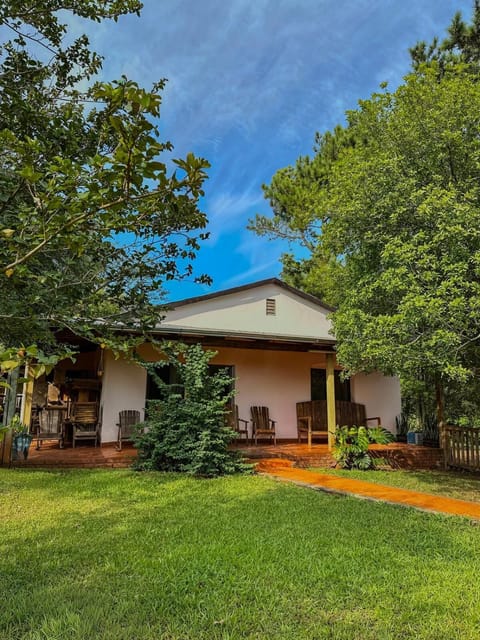 Natural landscape, Garden view